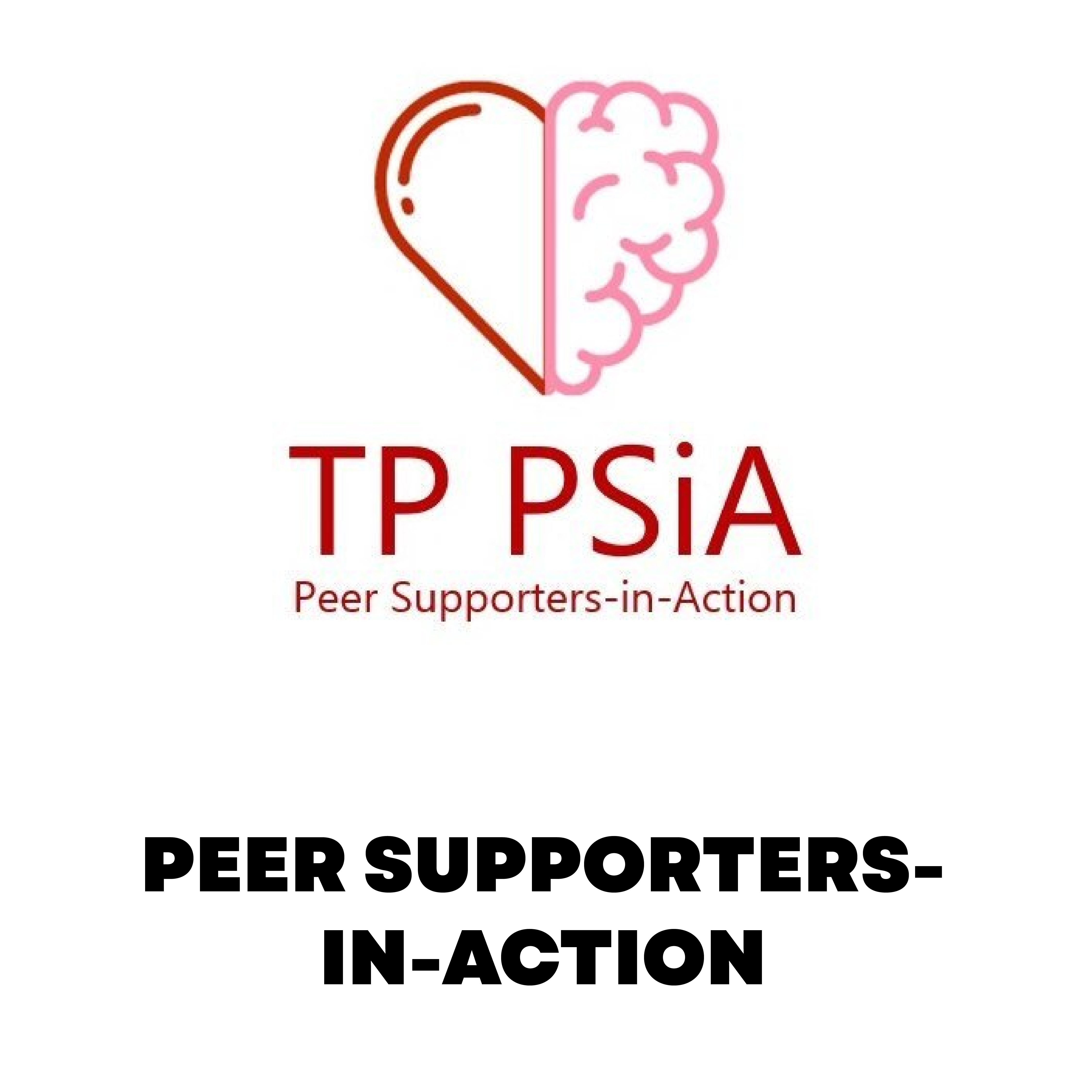 Peer Supporters-in-Action